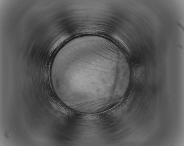 X0000091460874200709131732