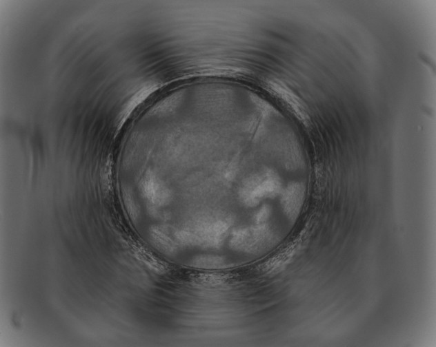 X0000091460875200709131732