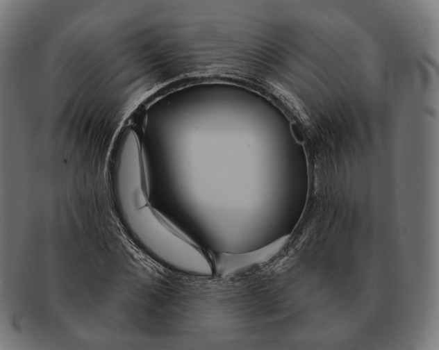 X0000091460876200709131732