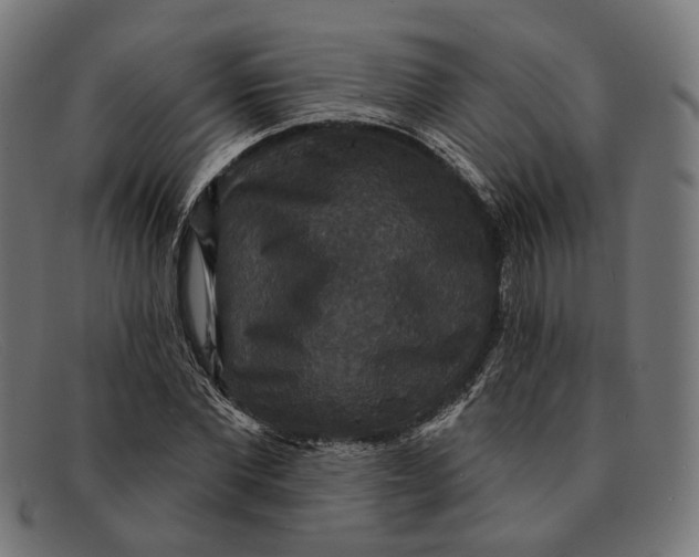 X0000091460877200709131732
