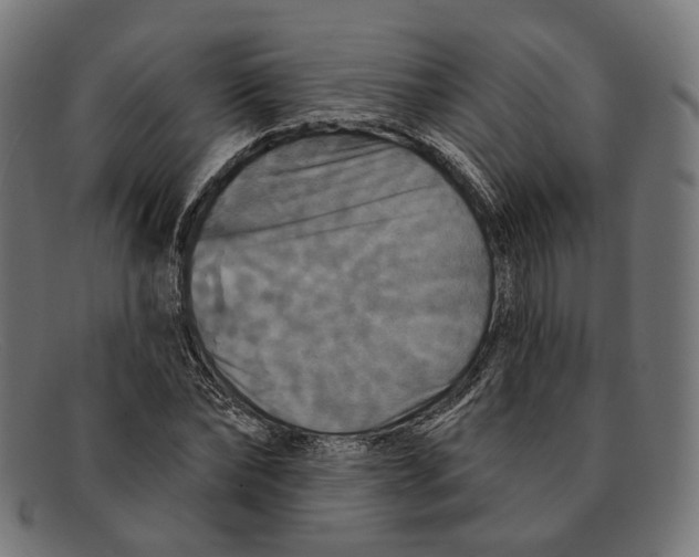X0000091460878200709131732