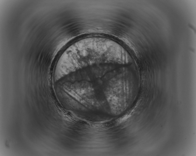X0000091460879200709131732