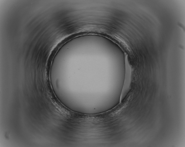 X0000091460880200709131732