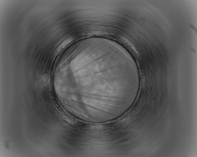 X0000091460882200709131731