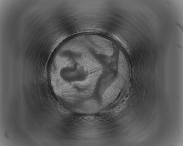X0000091460883200709131731