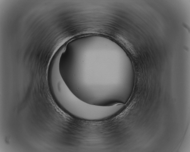 X0000091460884200709131731