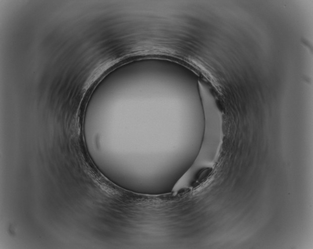 X0000091460885200709131731