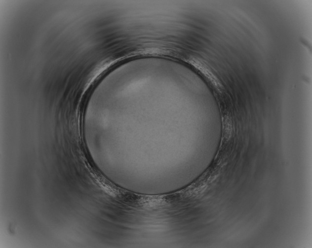 X0000091460886200709131731