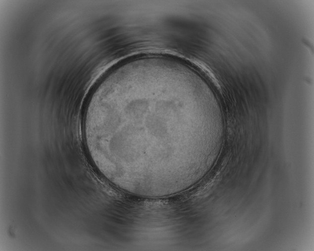 X0000091460887200709131731