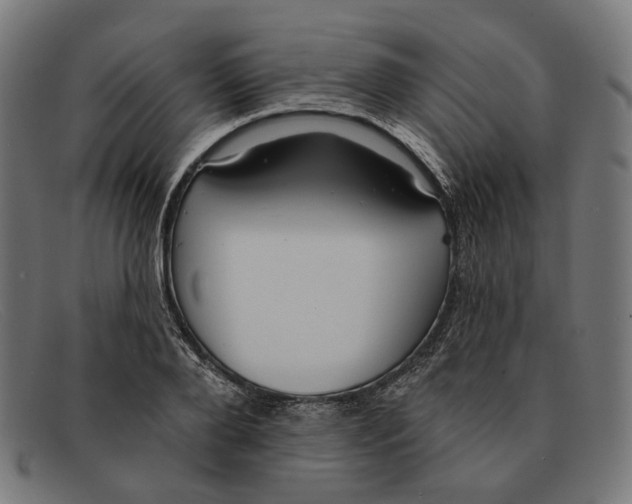X0000091460888200709131731