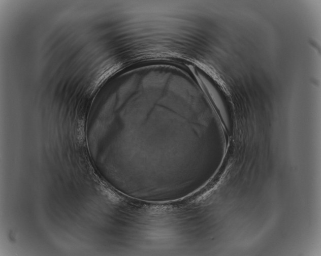 X0000091460889200709131731