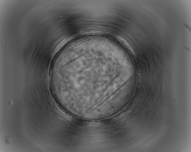 X0000091460890200709131731