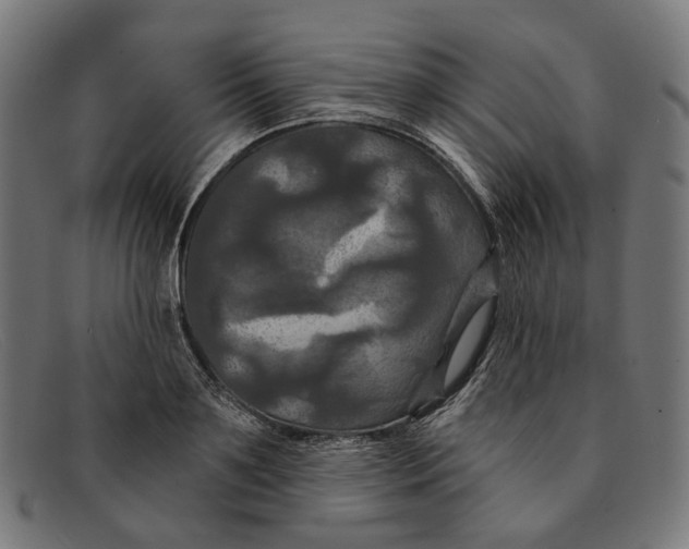 X0000091460891200709131731