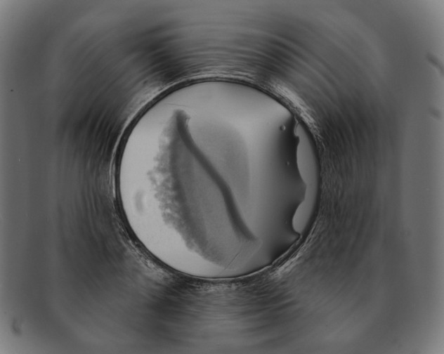 X0000091460892200709131731