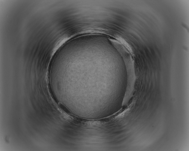 X0000091460893200709131731
