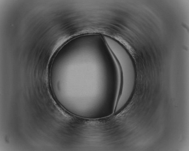 X0000091460894200709131731
