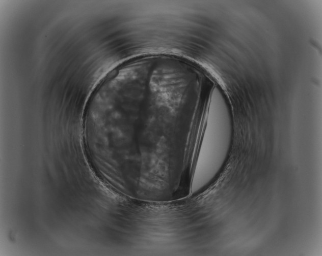 X0000091460895200709131731