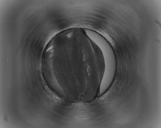 X0000091460896200709131731