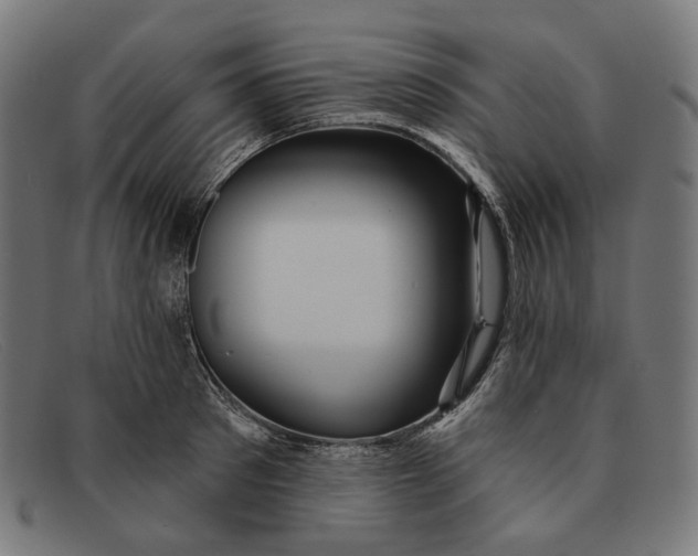 X0000091460897200709131731
