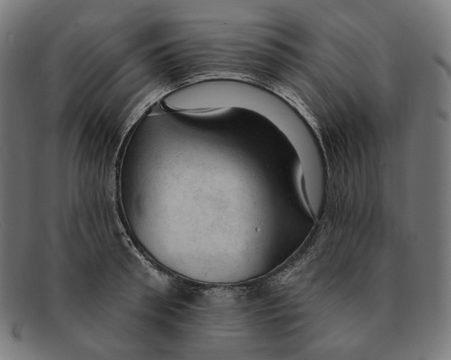 X0000091460898200709131731