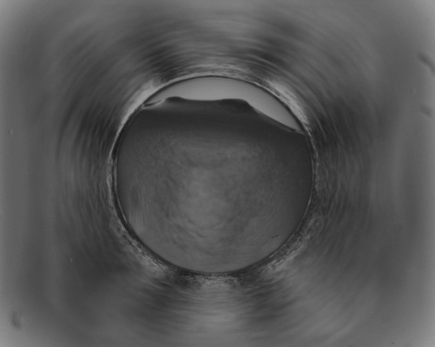 X0000091460899200709131731