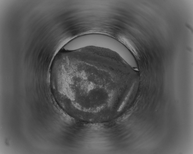 X0000091460900200709131731