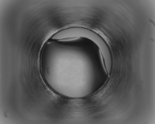 X0000091460902200709131731