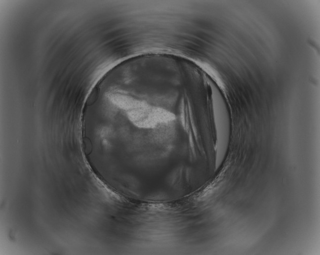 X0000091460903200709131731