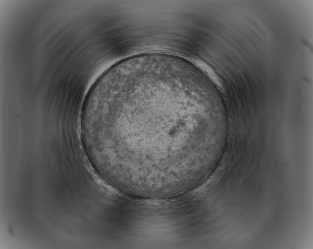 X0000091460904200709131731