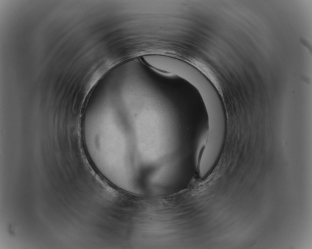 X0000091460906200709131731