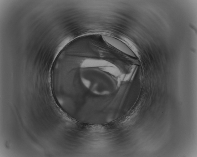 X0000091460907200709131731
