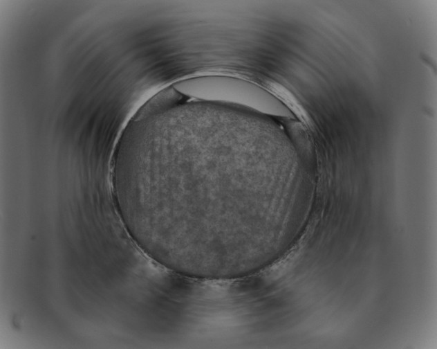X0000091460908200709131731