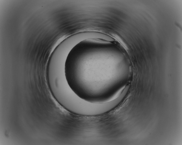 X0000091460909200709131731