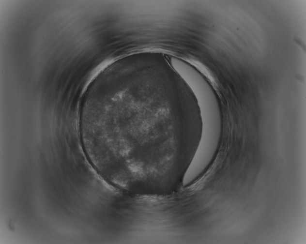 X0000091460910200709131731