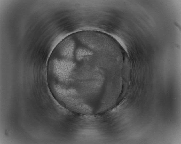 X0000091460911200709131731