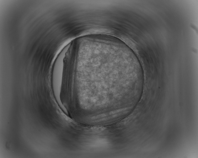 X0000091460912200709131731
