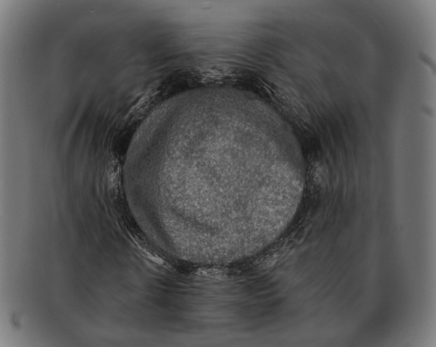 X0000091460914200709131731