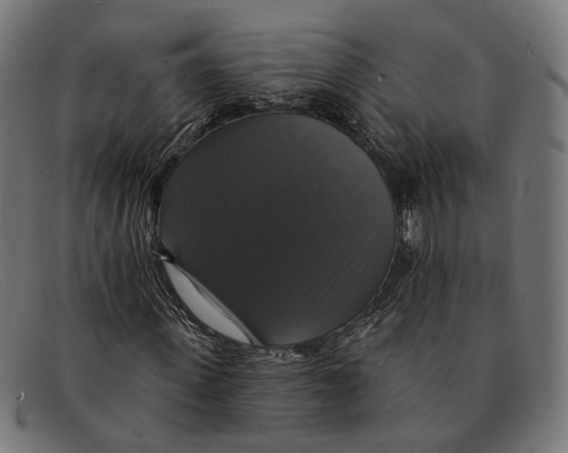X0000091460915200709131731