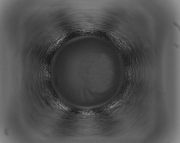 X0000091460916200709131731