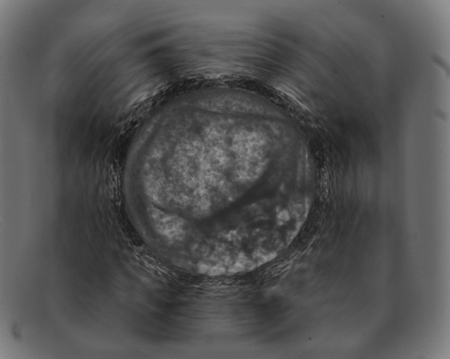 X0000091460917200709131731