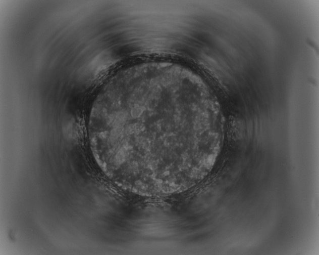 X0000091460918200709131731