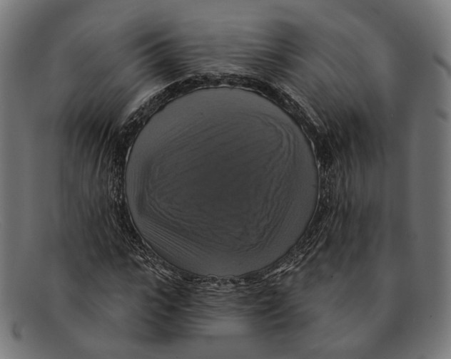 X0000091460919200709131731