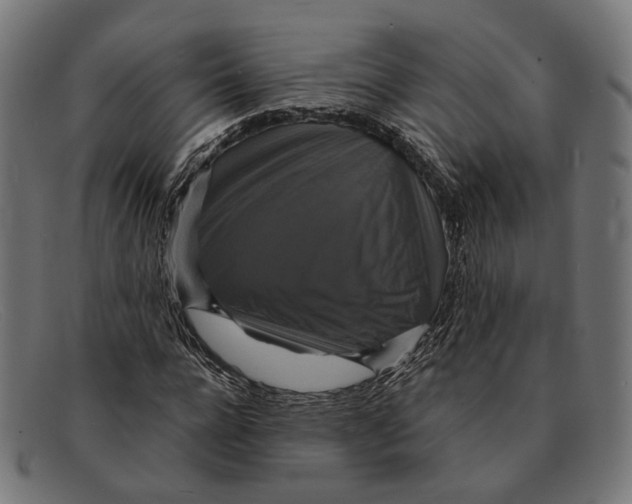 X0000091460920200709131731