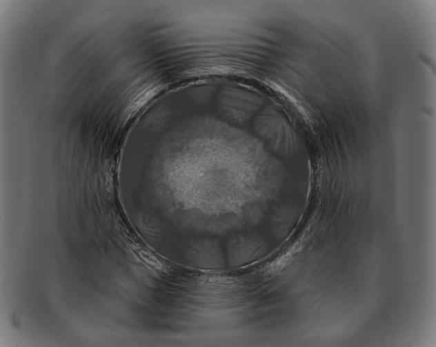 X0000091460921200709131731