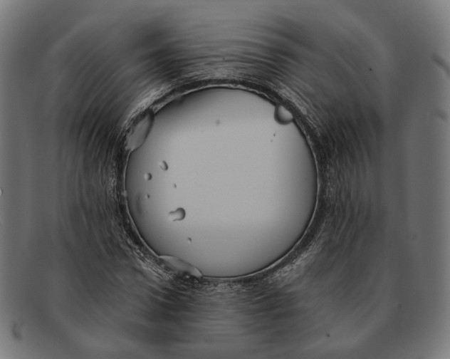 X0000091460922200709131731