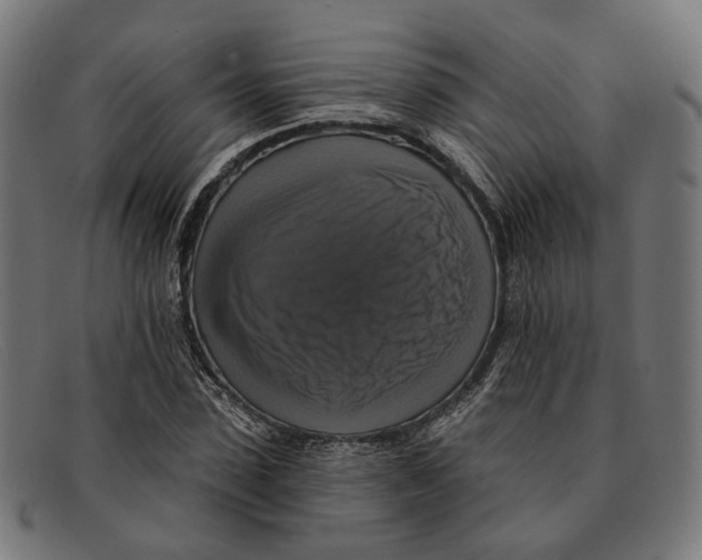 X0000091460923200709131731