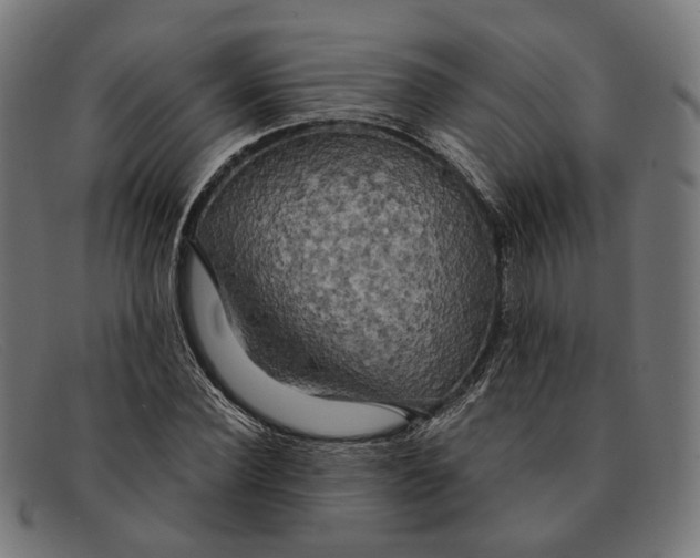 X0000091460924200709131731