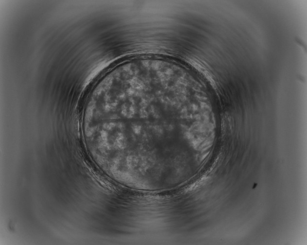 X0000091460925200709131731
