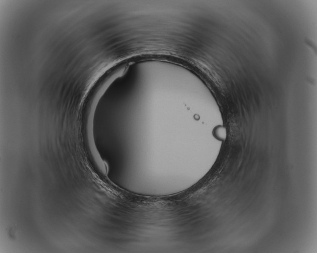 X0000091460926200709131731