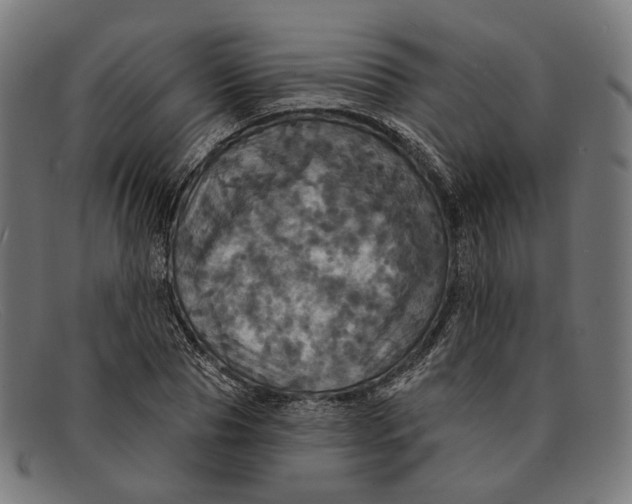 X0000091460929200709131731